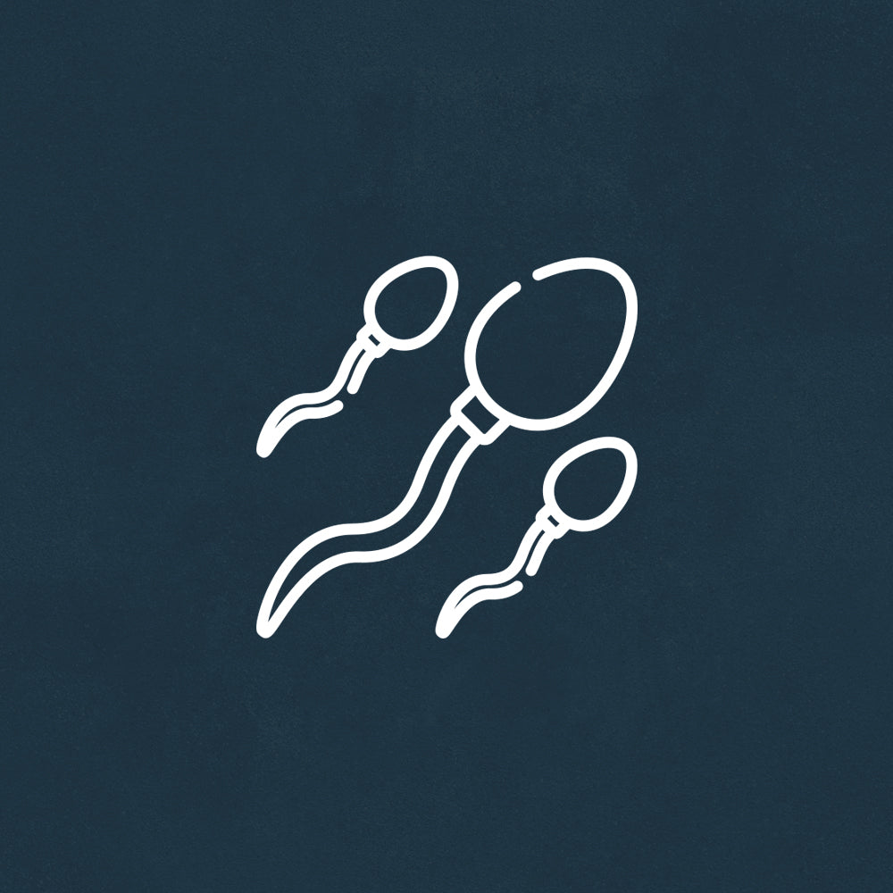 Infertilidade Masculina