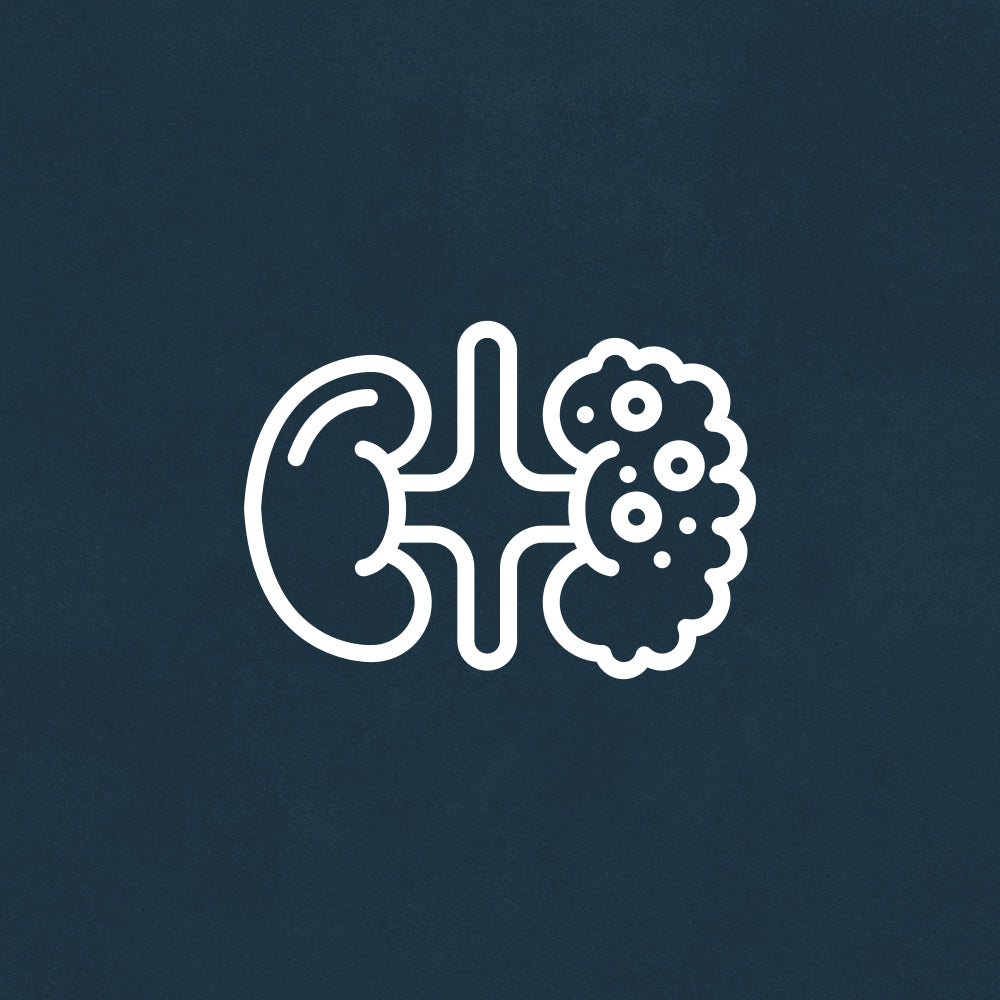 Câncer Renal