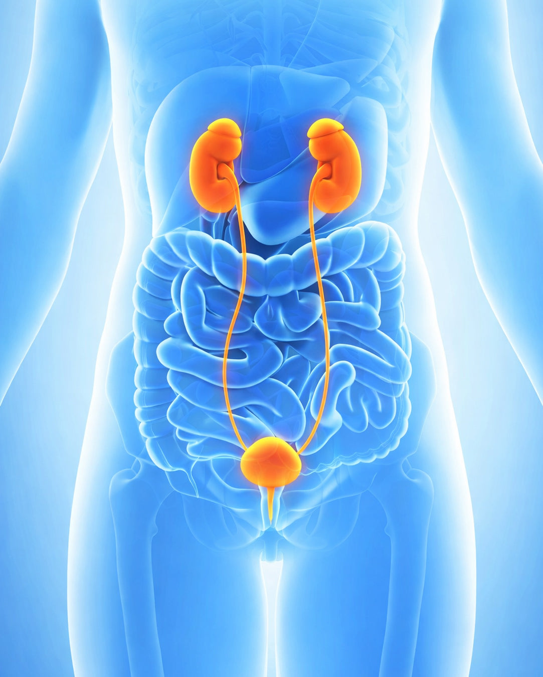 Uro-oncologia